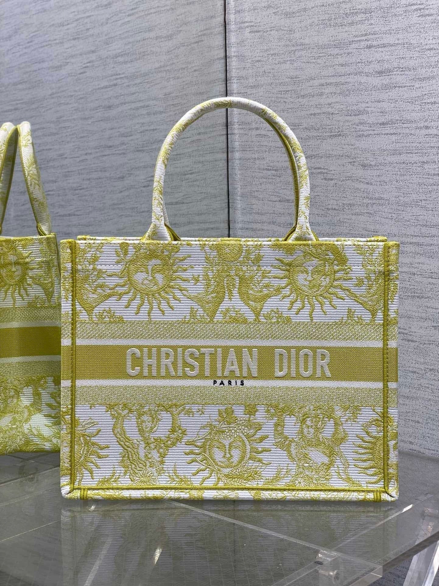 Dior Book Tote Tote Bag